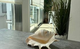 Turquesa 8